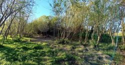 PARCELAS «TRANQUERAS DE BRUNO ALBERTO»